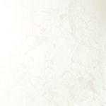 Membrane Premium Alkorplan 2000 verni