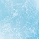 Membrane Premium Alkorplan 2000 verni