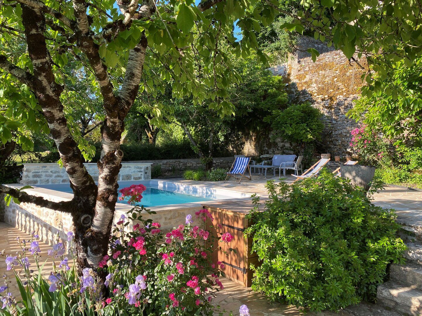 Petite piscine dans un espace extérieur minéral